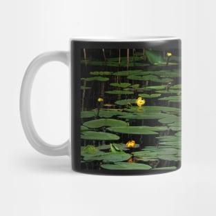 Night Descends On The Lily Pond Mug